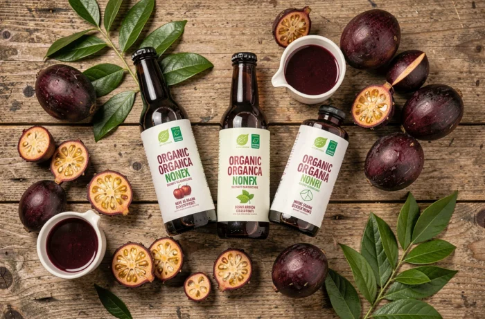 Bouteilles de jus de Noni bio en vue de dessus avec fruits tropicaux sur table en bois rustique